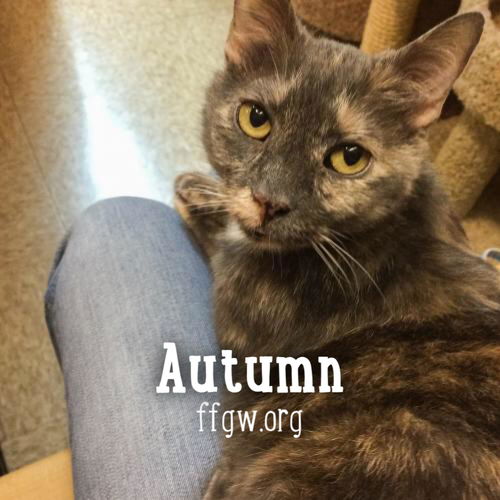Autumn