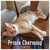 Prince Charming