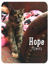 Hope