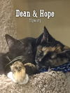 Hope