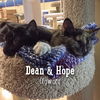 Hope