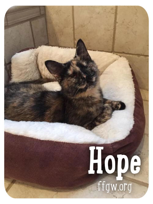 Hope