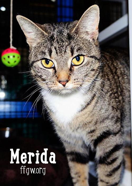 Merida
