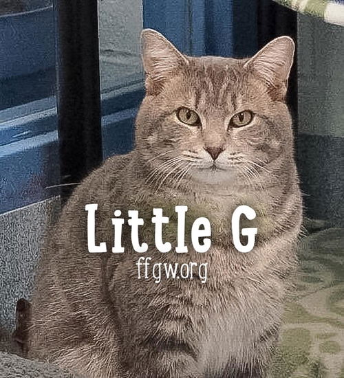 Little G