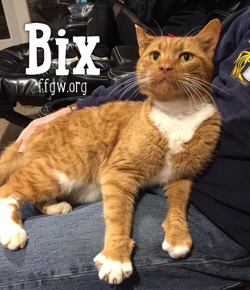 Bix