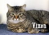 Vixen
