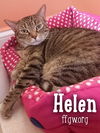 Helen