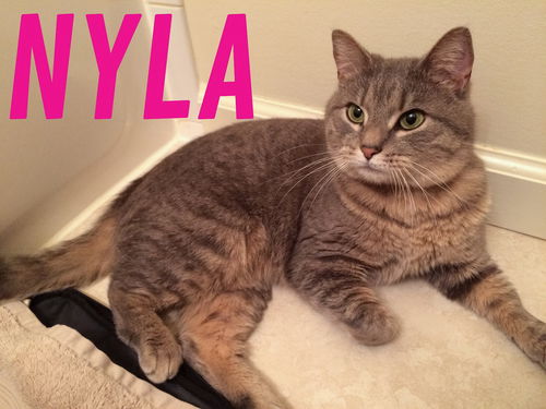 Nyla