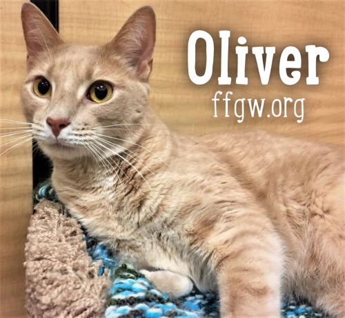 Oliver