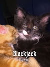 Blackjack