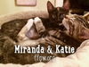 Miranda