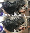 Miranda