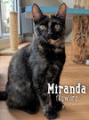 Miranda