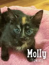 Molly