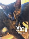 Mary