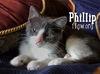 Phillip