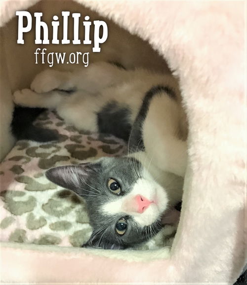 Phillip