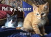 Spencer