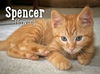 Spencer