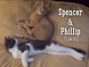 Spencer
