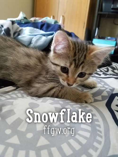 Snowflake