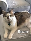 Beezur