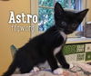 Astro