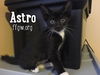 Astro