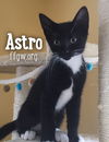 Astro