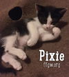 Pixie