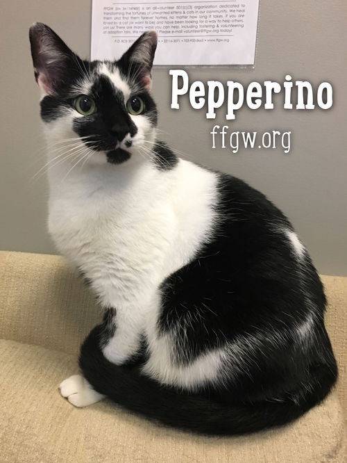 Pepperino