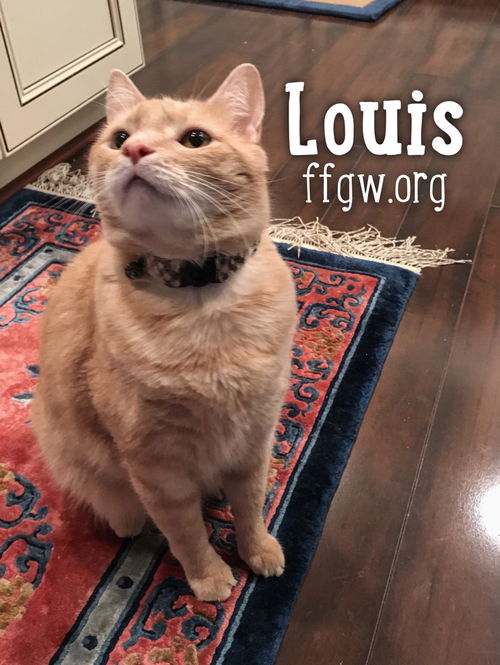 Louis