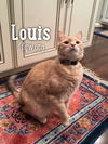 Louis