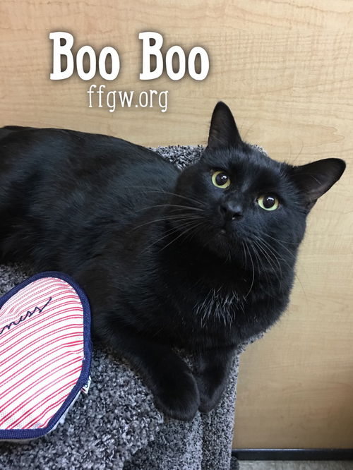 Boo Boo