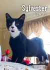 Sylvester