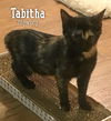 Tabitha