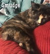 Smudge