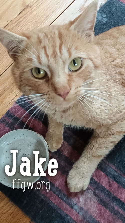 Jake