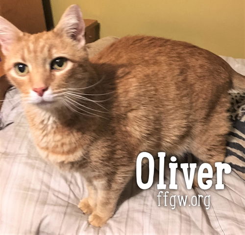 Oliver