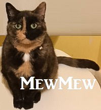 MewMew