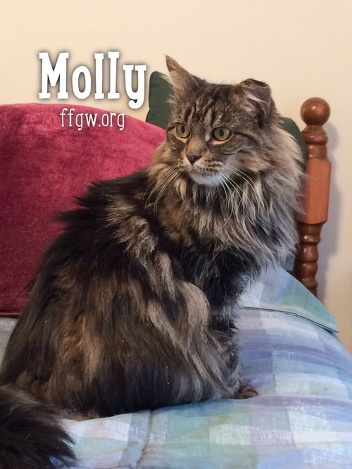 Molly