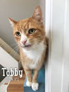 Tobby