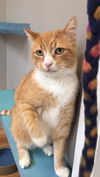 Tobby
