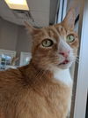 Tobby
