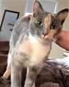 Nilla
