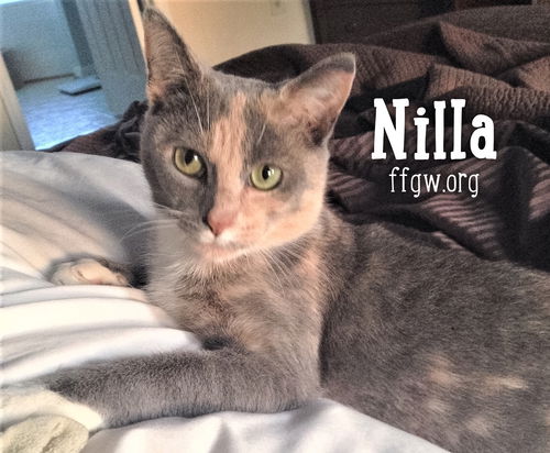 Nilla