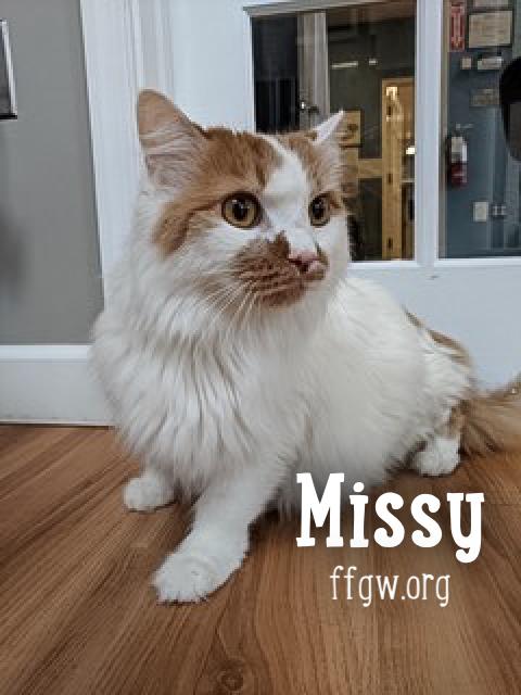 Missy