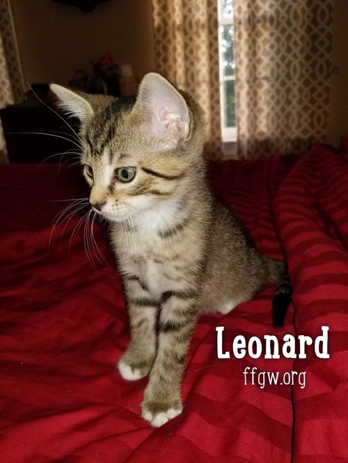 Leonard