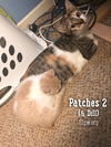 Patches 2