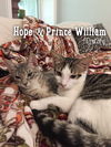 Prince William